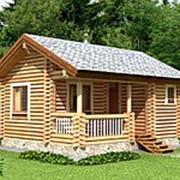 Проект бани ДБ-8 фото