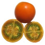 Луло (Solanum quitoense) фото
