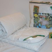 Одеяло Эвкалипт (1,5-ое, облегченное) фото
