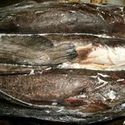 Рыба свежемороженая, Сом от 3 кг до 8 кг (мороженая) фото