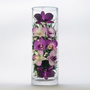 Орхидея в стекле CL-o1 фотография