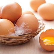 Яичная продукция, меланж, куриное яйцо, перепелиное яйцо фотография