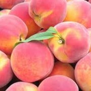 Персики свежие фото