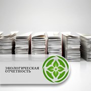 Статистический отчет по переработке, утилизации и  фото