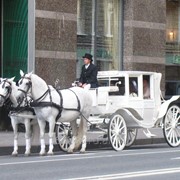 Аренда свадебной кареты Санкт-Петербург фото