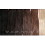 Натуральные европейские волосы для ленточного наращивания Hair Talk 50 см фото