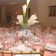 Организация банкетов фото