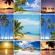 Модульная картина Пальмы, море , Неизвестен фото