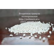 Полипропилен — литьевой фото