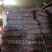 Картофель свежий фото