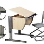 Парта Дэми СУТ 14 (серый, клен)+ПОДАРОК на выбор фото