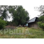 Участок в дачном массиве фото