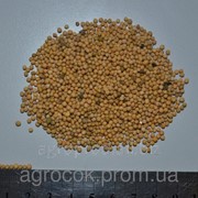 Семена горчицы белой, 1 кг фото