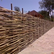 Забор плетеные из лозы, украинский тын фото