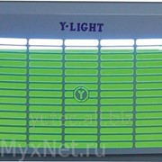 Световая ловушка Y-Light 36 W фото