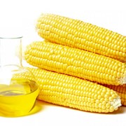 Кукурузное масло натуральное, нерафинированное. фото