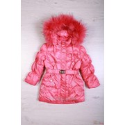 Куртка для девочки пуховая коралловая BTE.Beetle И2271 З фотография