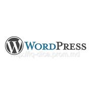 Курсы по WordPress фото