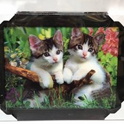 5D картина “Два котёнка“ 30 х 40 см фото