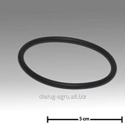 0007-2481-750 Уплотнительное кольцо 70×5 фотография