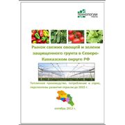Исследование рынка промышленных овощных теплиц на Северном Кавказе РФ фото