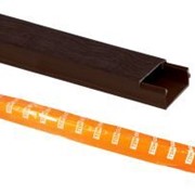 Кабель-канал 25х25 (50м) “ЭКО“ 3D (бук) TDM ELECTRIC SQ0402-0406 фото