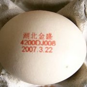 Оборудование для маркировки яиц