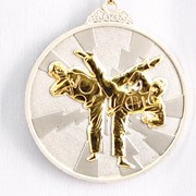 Медаль рельефная Таэквондо серебро фото