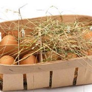 Корзинки для яиц из шпона фото