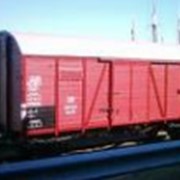 Вагоны грузовые железнодорожные крытые фотография