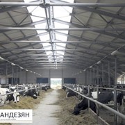 Коровники строительство по всей Украине фото