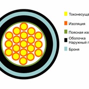 Кабель контрольный АКПБбШв фото