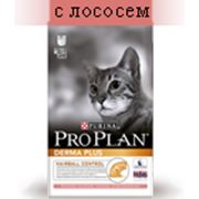 Pro Plan повседневный корм для кошек. фотография