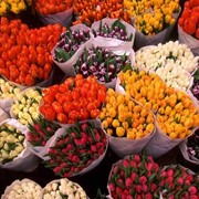 Цветы к 8 марта для любимых женщин фото