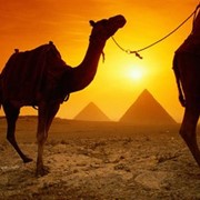 Отдых в Египте фото