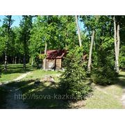 Горячее предложение база отдыха фото