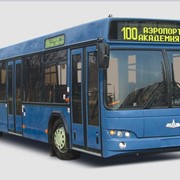 Автобус МАЗ 103 фото