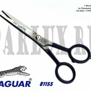 Ножницы прямые 5.5“ JAGUAR 81155 фото