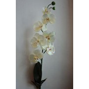 Цветок искусственный Orchides