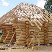 Дома деревянные, дома срубы в Украине фотография