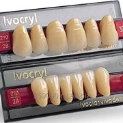 Немецкие акриловые зубы Ивокрил Ivocryl фотография