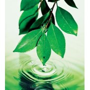 Расчет платы за негативное воздействие на окружающую среду (НВОС) фото