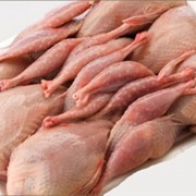 Тушки перепелиные фото