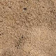 Песок сеяный (1 класс) фотография