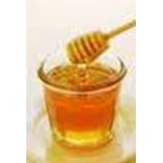 Мёд из степного разнотравья продажа, опт Украина, доставка