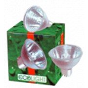 Светодиодные энергосберегающие лампы Ecolight, Лампы энергосберегающие светодиодные фото