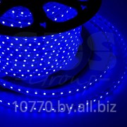 LED лента Neon-Night, герметичная в силиконовой оболочке, 220V, 10*7 мм, IP65, SMD 3528, 60 диодов/метр, цвет светодиодов синий, бухта 100 метров фотография