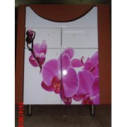 Тумба нижняя для ванной под раковину с цветочным принтом на фасаде Орхидеи