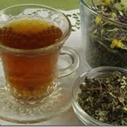 Иван-чай с шиповником (кипрей) фото