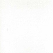 Пленка ПВХ матовая Белая шагрень Еврогрупп - 4101